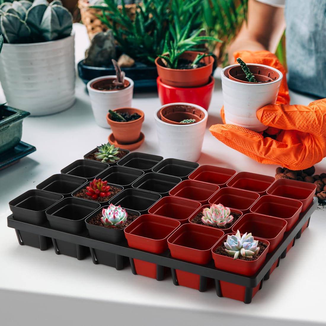 【DRAW A LINE 】Moving Planter Rack Set Amazon.com : RooTrimmer Square Nursery Pot Tray with 24 Cells, 5